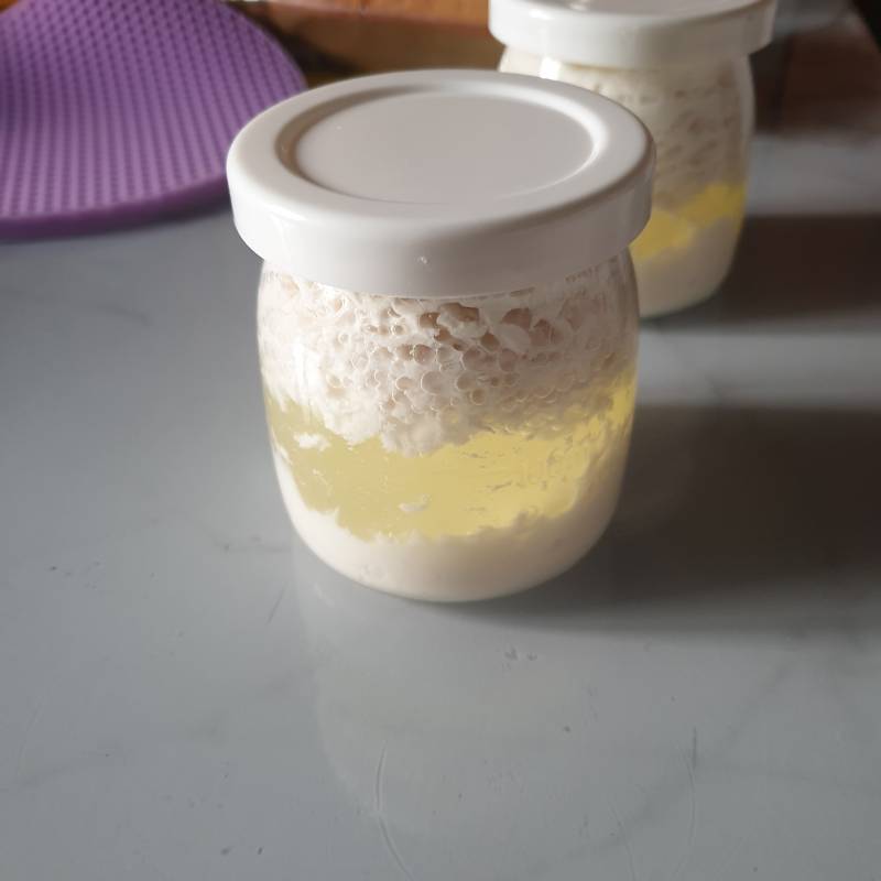 요거트 만들었는데 왜이래..? | 인스티즈