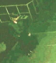 지금 아이랜드 선우 경민or선우 다니엘로 갈리더라 | 인스티즈