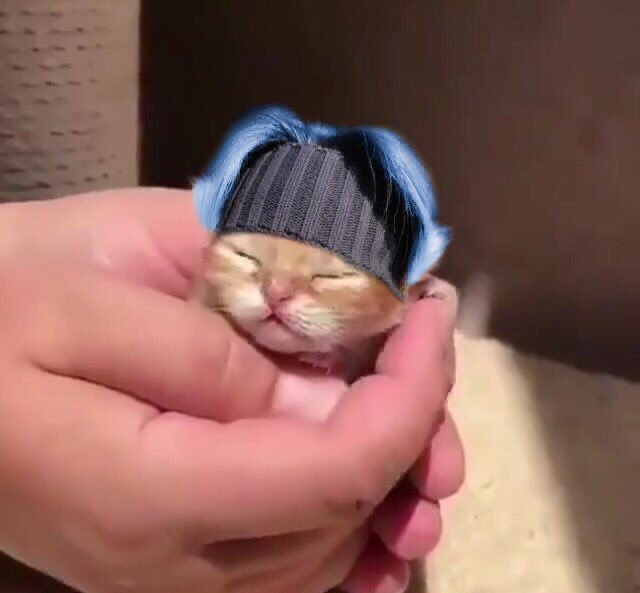 조승연 모에화 개쩐닼ㅋㅋㅋㅋㅋㅋㅋㅋㅋ | 인스티즈