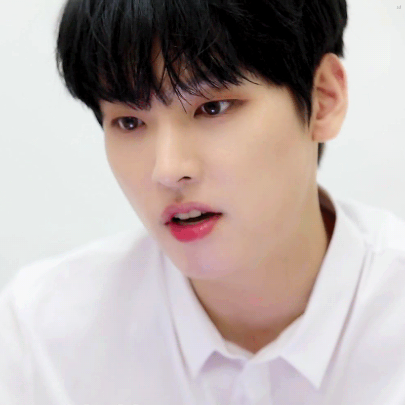 슾구들아 진짜 미안한데... | 인스티즈