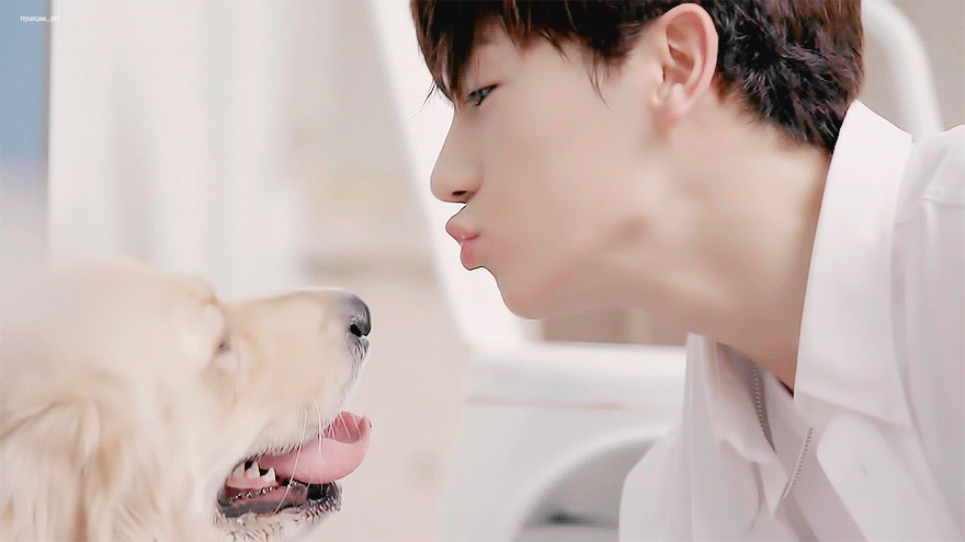 더보이즈 현재 이게 정식 데뷔 전 얼굴인 거 진짜 도라방스 | 인스티즈