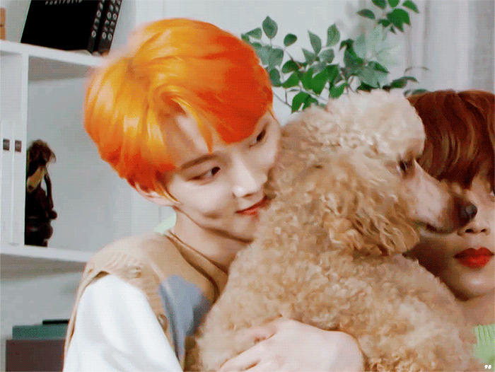 더보이즈+강아지=필승조합 | 인스티즈