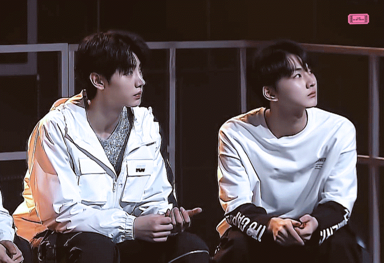 아이랜드 고양이 한 마리랑 에어컨 광고찍는 피겨왕자 볼 솨람~!~!🙋 | 인스티즈