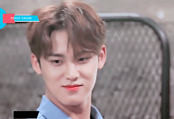 강아지치곤 사람같은 편 | 인스티즈