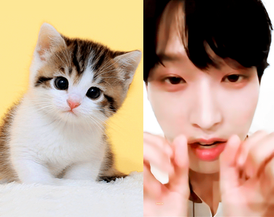 내가 28살 남자 모에화를 하고 싶어서 그랬냐고!! 오빠가 셀프 모에화 하는데 | 인스티즈