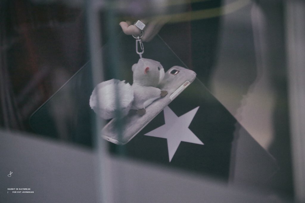 귀여운 거 좋아하는 세븐틴 정한 폰케 취향 | 인스티즈