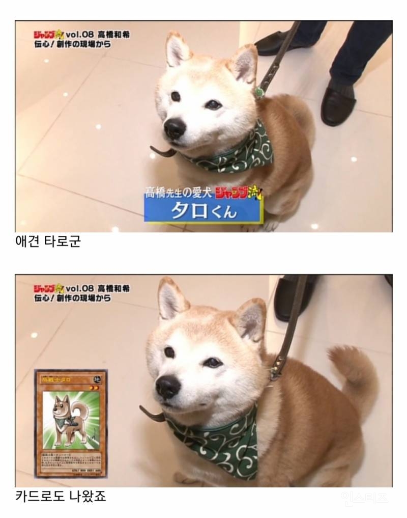 유희왕 원작자가 기르던 댕댕이.jpg | 인스티즈