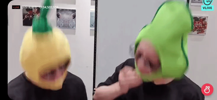 데이식스 콩그레이츄레이션에 과몰입한 아보카도와 파인애플 | 인스티즈