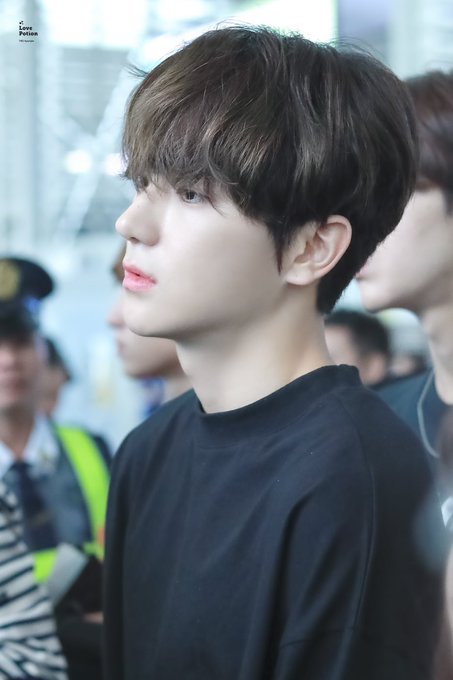 현재 코 예술이다 진짜 | 인스티즈