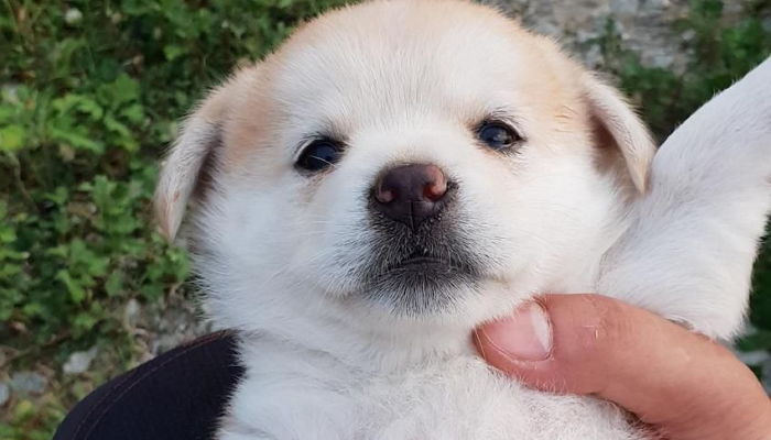 작년 병찬이 진짜 똥강아지 상이네 | 인스티즈