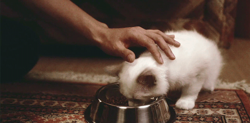 뉴종현 팬들 좋은거보여줄게 들어와봐 | 인스티즈