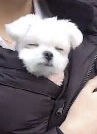 지금 큰방에 안자는 더보이즈 땡마들 얼마나 되나 | 인스티즈