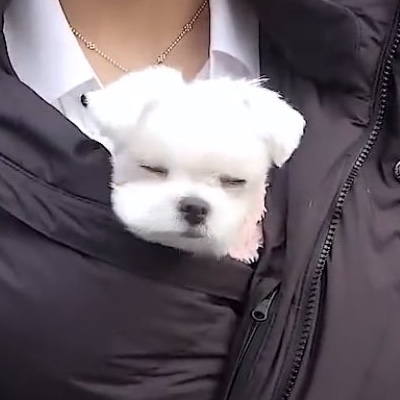 더보이즈 팬이라면 누구나 부러워하는 | 인스티즈