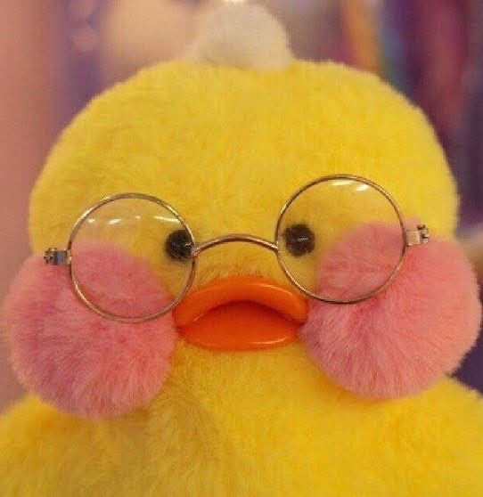 하성운 닮은꼴 ㅂㅂㅂㄱ | 인스티즈