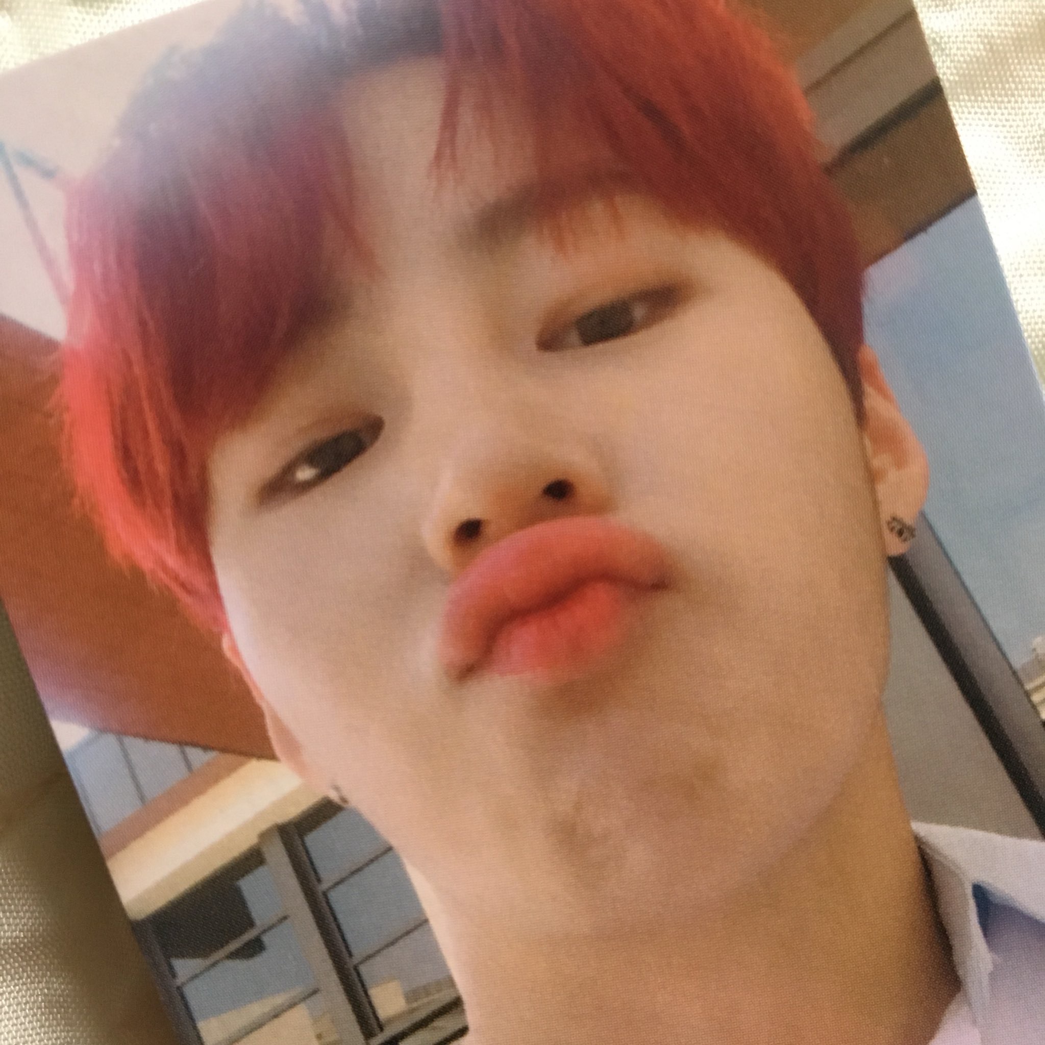 하성운 닮은꼴 ㅂㅂㅂㄱ | 인스티즈