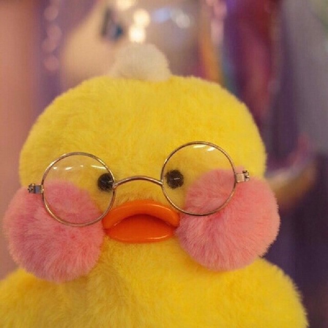 하성운 닮은꼴 ㅂㅂㅂㄱ | 인스티즈