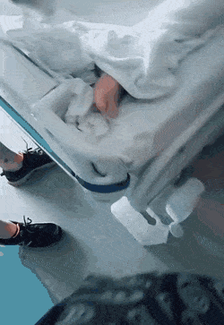 무조건 힐링되는 댕냥이짤털 | 인스티즈