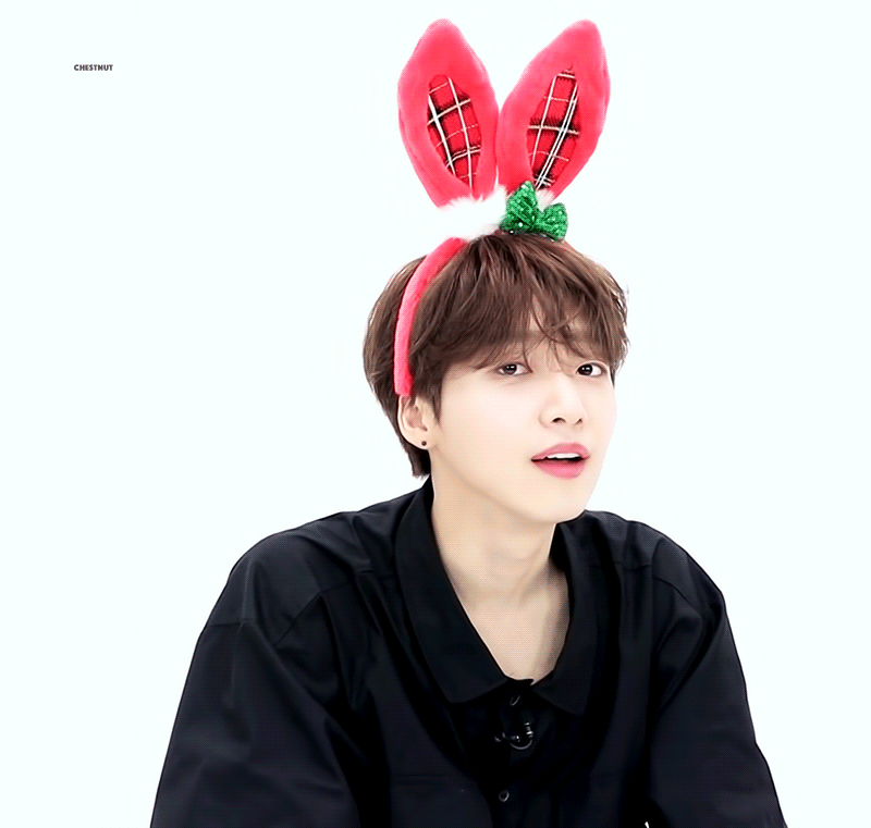 정세운은 토끼야 | 인스티즈