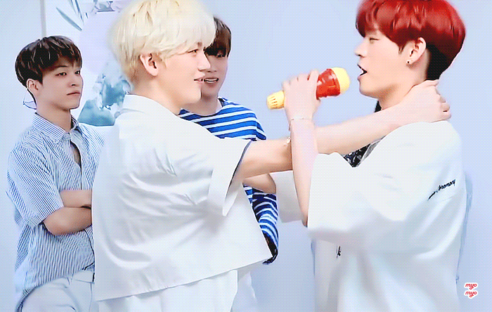 타팬들은 잘 모를 것 같은 우리 애 모먼트 말해보자 | 인스티즈