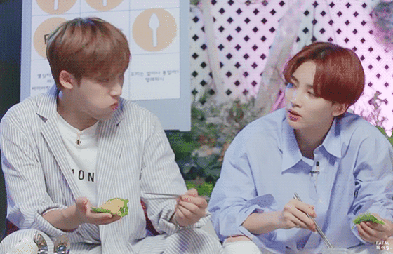 아이돌들 이런거 너무웃김ㅋㅋㅋㅋㅋㅋㅋㅋㅋㅋㅋㅋㅋㅋㅋㅋㅋㅋㅋㅋㅋㅋ | 인스티즈