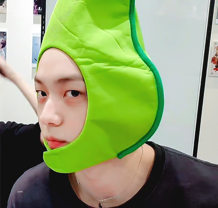 빅히트는 사실 투바투 인형모자 쓴게 보고싶었던거 아닐까^^ | 인스티즈