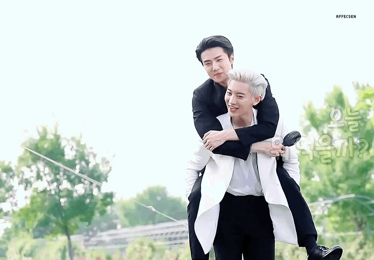 보고있으면 참 무해해 엑소는... | 인스티즈