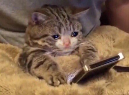 [잡담] 방탄 버터플라이를 주네 ㅋㅋㅋㅋㅋㅋ | 인스티즈