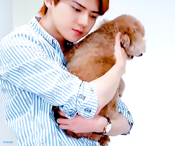 세훈이랑 무슈랑 한번에 안아버리기 | 인스티즈