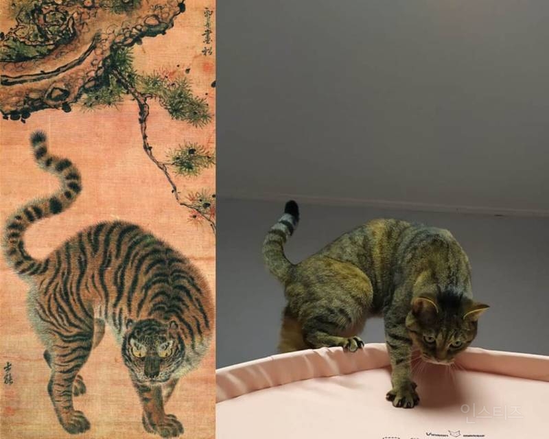 한국 민화의 위대함ㅋㅋㅋㅋㅋㅋㅋ | 인스티즈