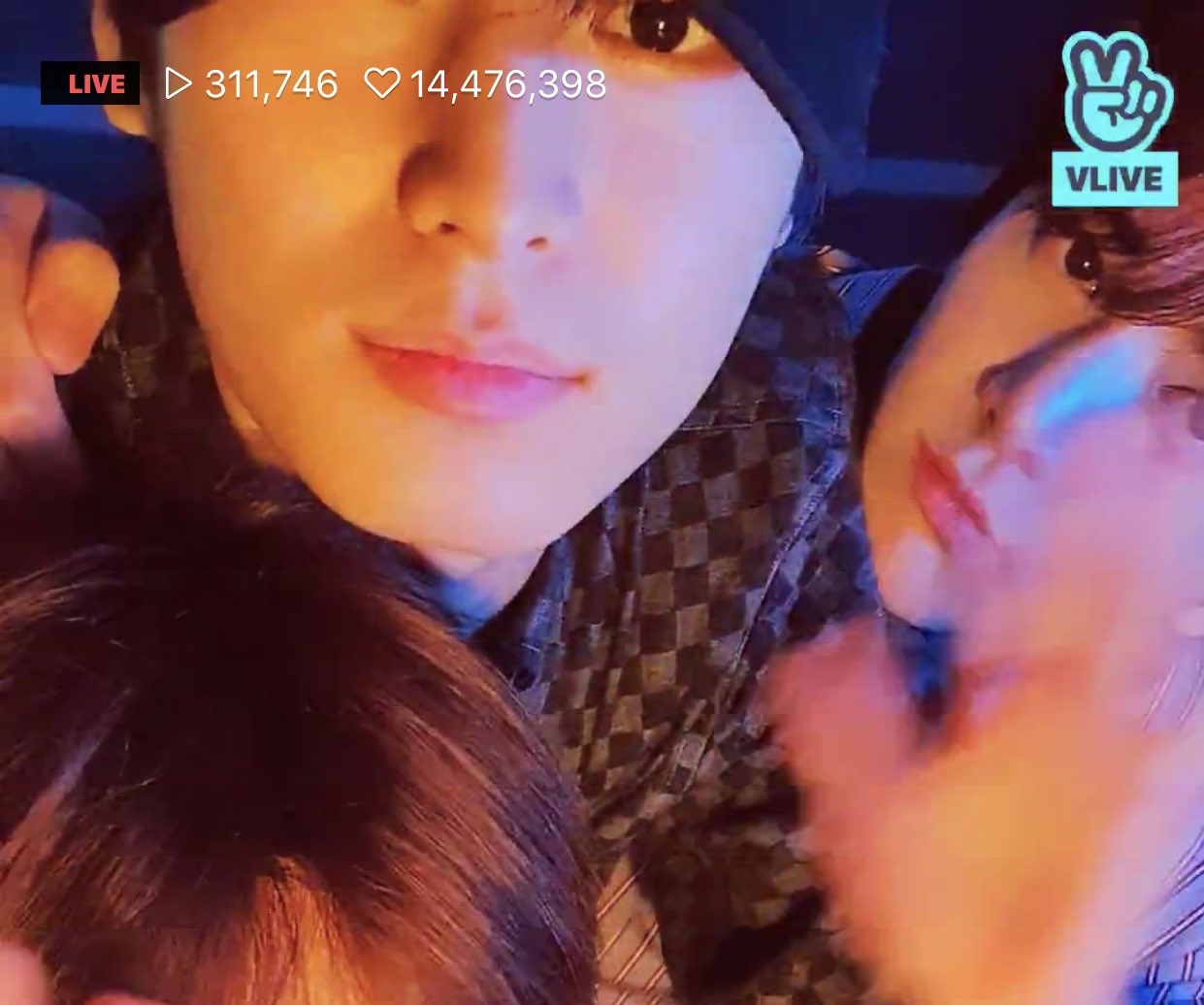 ㄱ 쥬빵 완전 고영이랑 말티쥬 | 인스티즈