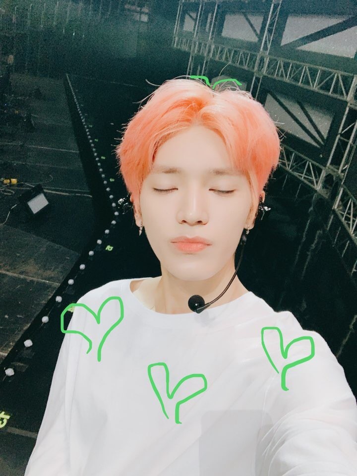 태용이 웃기고 귀엽고 작고 뽀짝한 짤 푼다(스압주의) | 인스티즈