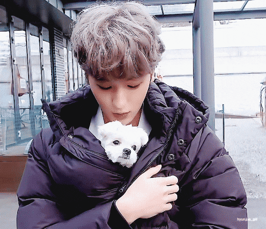 귀여운 거 보고 싶은 사람 당장 들어와 | 인스티즈