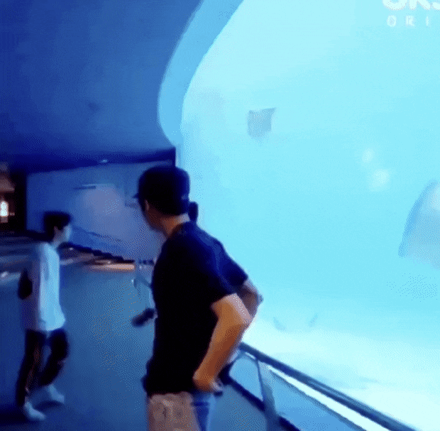 다들 가오리랑 노는 백현 보고가 | 인스티즈