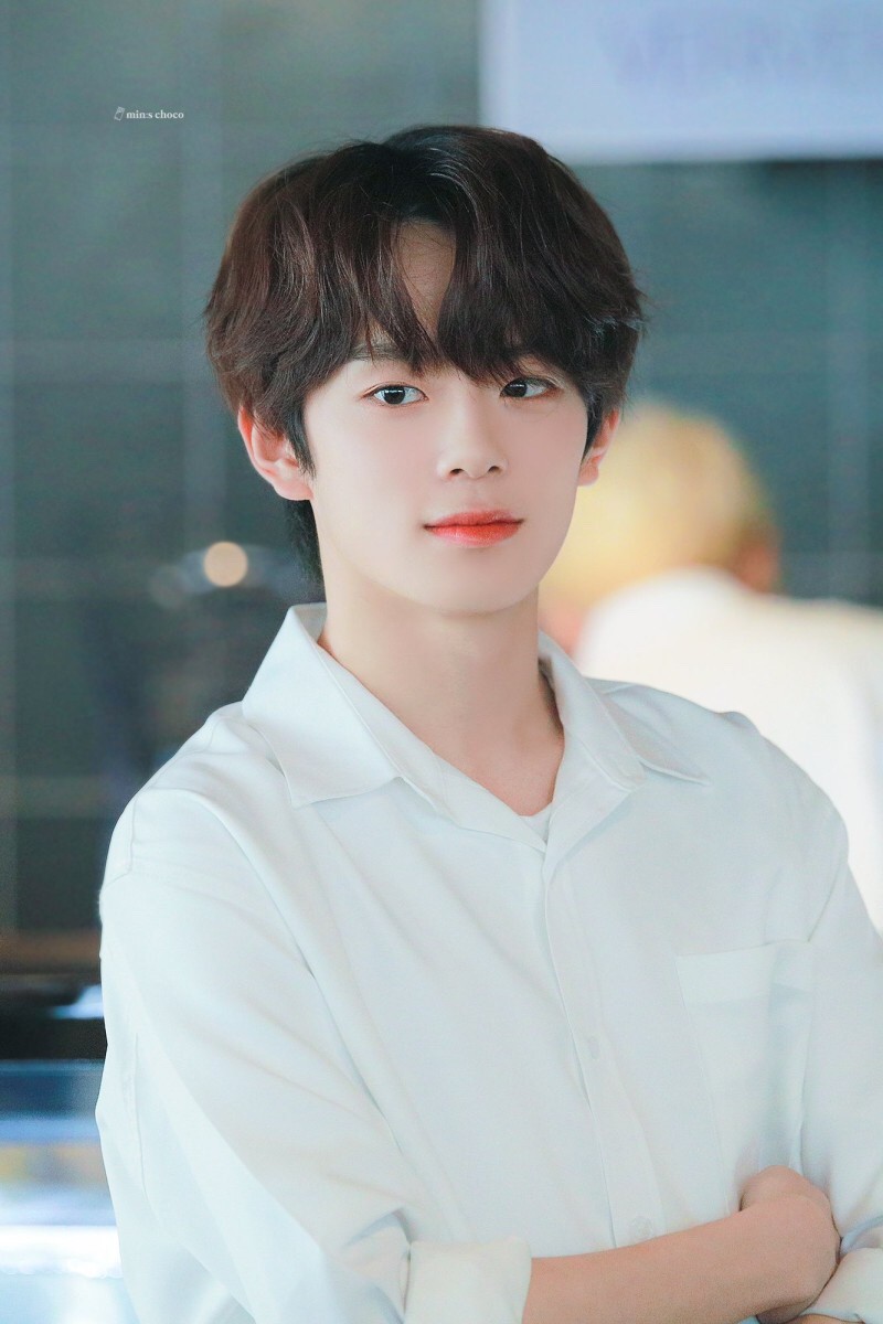 나 취향 소나무야?(사진 많음) | 인스티즈