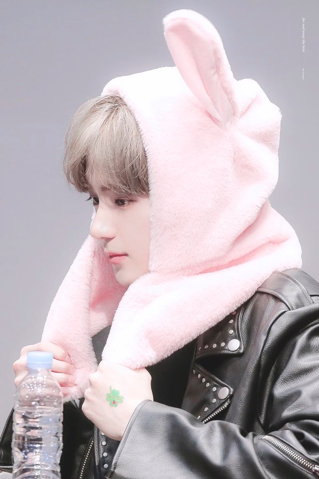 나 취향 소나무야?(사진 많음) | 인스티즈