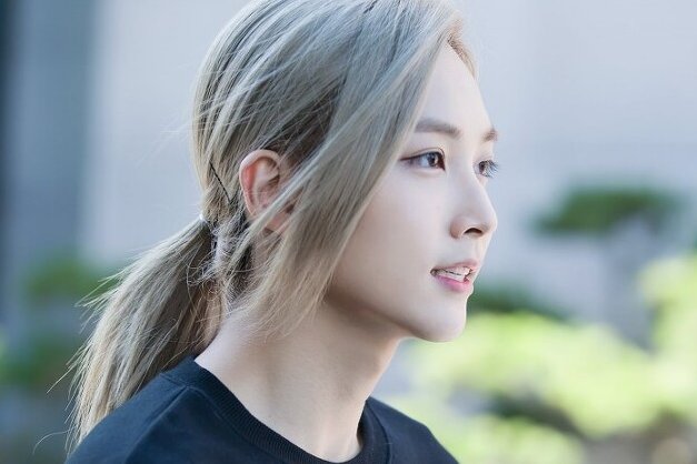 나 취향 소나무야?(사진 많음) | 인스티즈