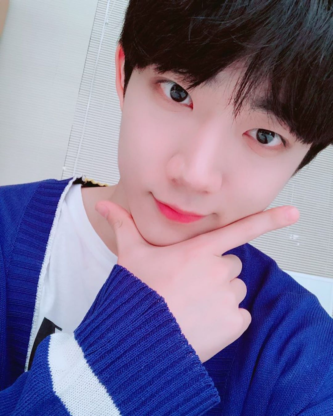 나 취향 소나무야?(사진 많음) | 인스티즈