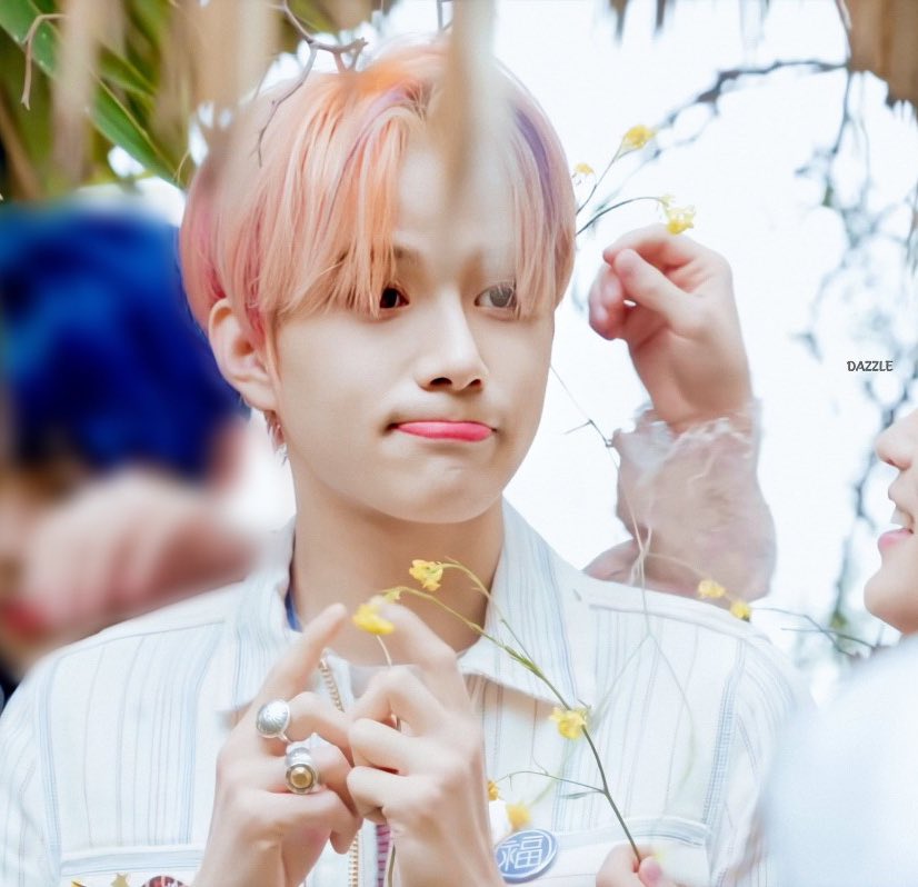 나 취향 소나무야?(사진 많음) | 인스티즈