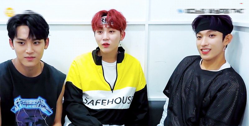 말랑콩똑이 보고싶다ㅠㅠ | 인스티즈