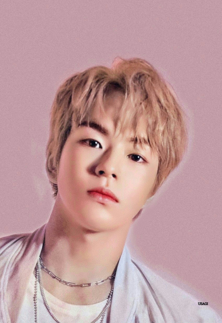 트레저 말랑뽀짝 댕댕이 차우차우 보고갈 사람 | 인스티즈