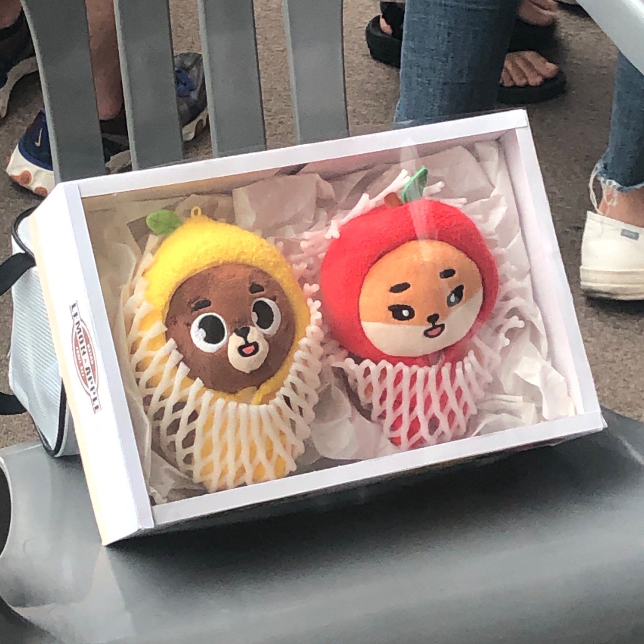 얘들아... 아이돌 인형 중에 이거 ㄴㅁㄴㅁ 귀여움... | 인스티즈