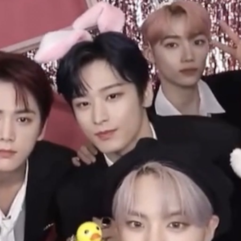 톢이가 되고싶은 고양이 | 인스티즈