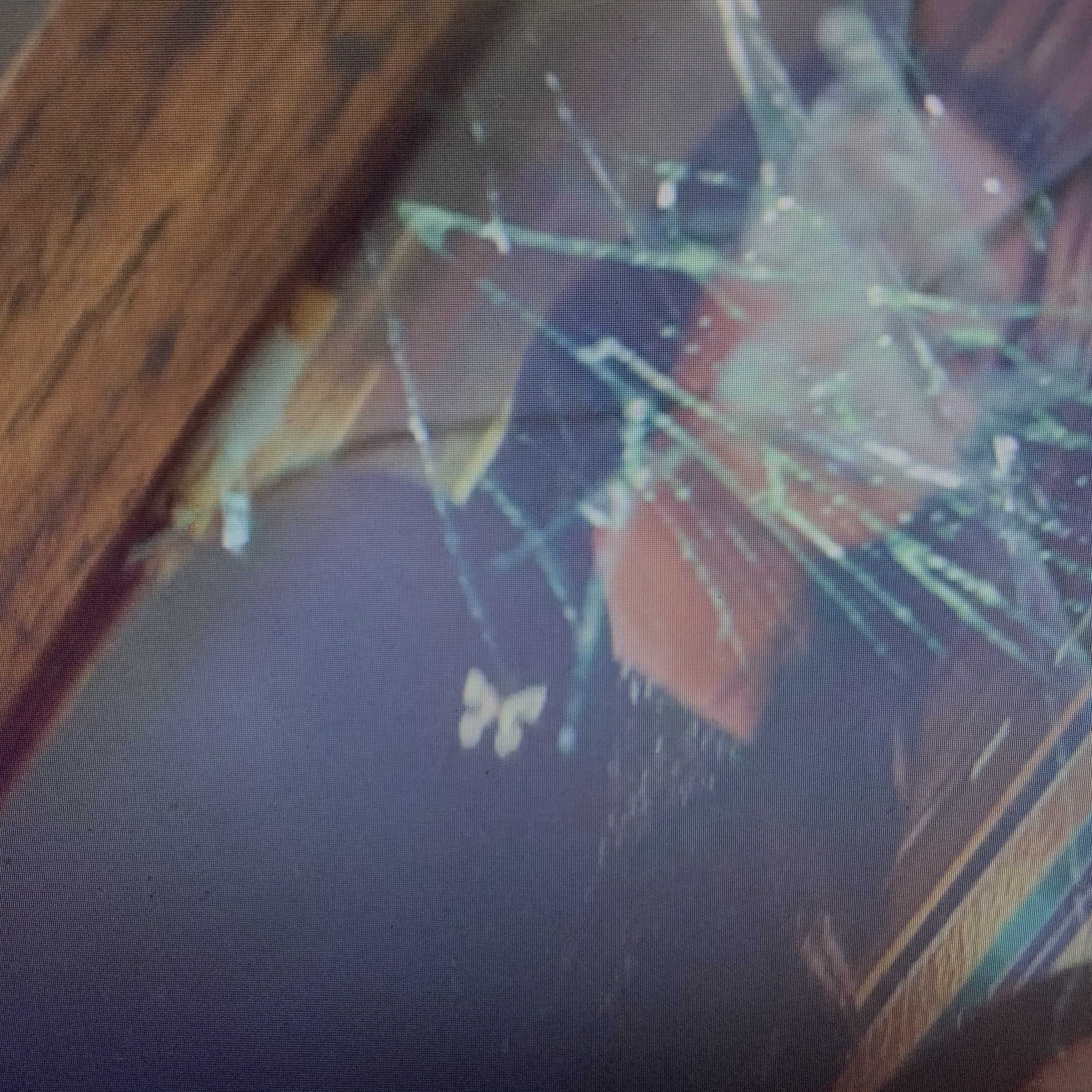 어제 사괜 사진 속 문영이 엄마 브로치는 오른쪽에 있는데 강태 엄마 죽인 여자 브로치는 왼쪽에 있어 | 인스티즈