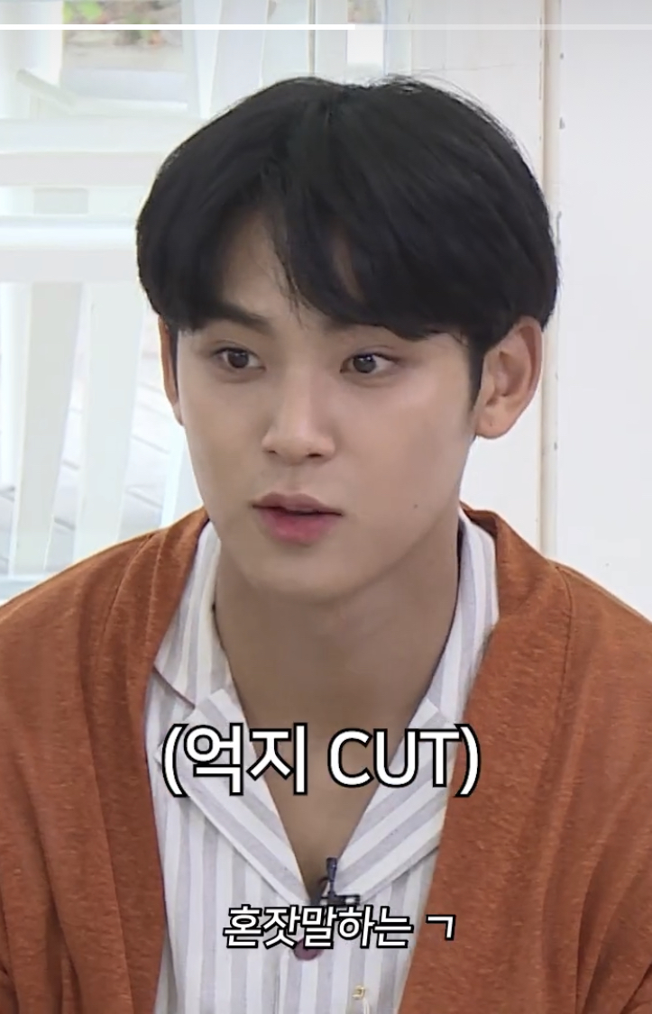 와 고잉세븐틴팀 이제 입막음 하네 ㅋㅋㅋ | 인스티즈