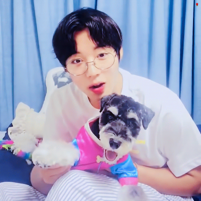 이거 박지훈이랑 맥스 아니고 다 박지훈같은데 | 인스티즈