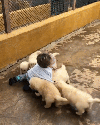 방탄 예능 카테고리가 힐링인 이유.gif | 인스티즈