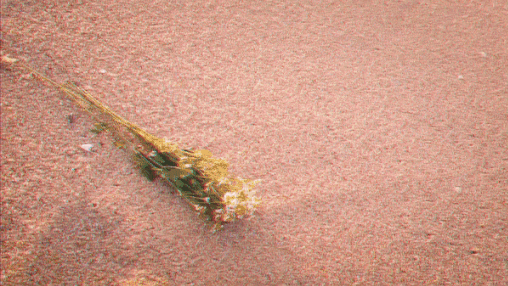 개인 커버곡 뮤비 서로 디렉터 해주는거 서로 애정없이는 할 수 없는거같음 | 인스티즈