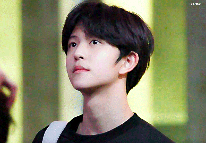 이 아이는 정말 무슨 일이 있어도 데뷔 시켜야겠다 (주어 아이랜드) | 인스티즈