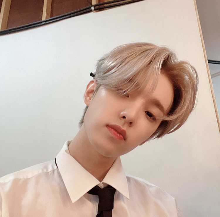 안되겠다 솜털 뽀송한 아기병아리가 살기엔 세상이 너무 험하다 | 인스티즈