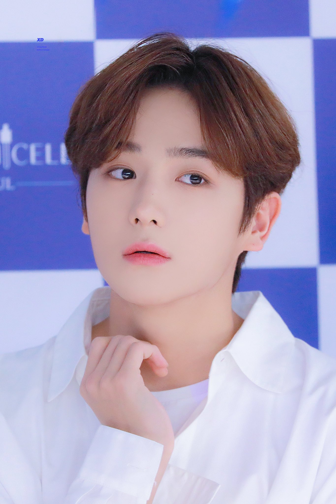 얘네 셋이서 같은 그룹인건 진짜 기적이다 | 인스티즈